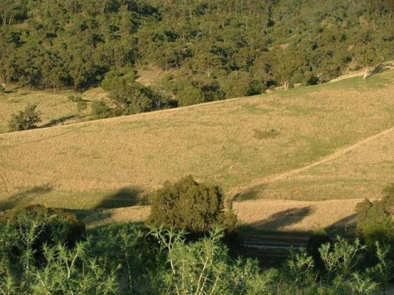 Sandy Creek Rd, Mccullys Gap NSW 2333