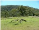 Sandy Creek Rd, Mccullys Gap NSW 2333