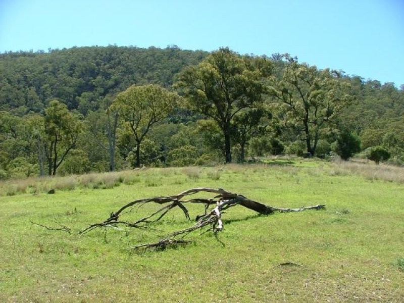 Sandy Creek Rd, Mccullys Gap NSW 2333