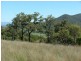 Sandy Creek Rd, Mccullys Gap NSW 2333