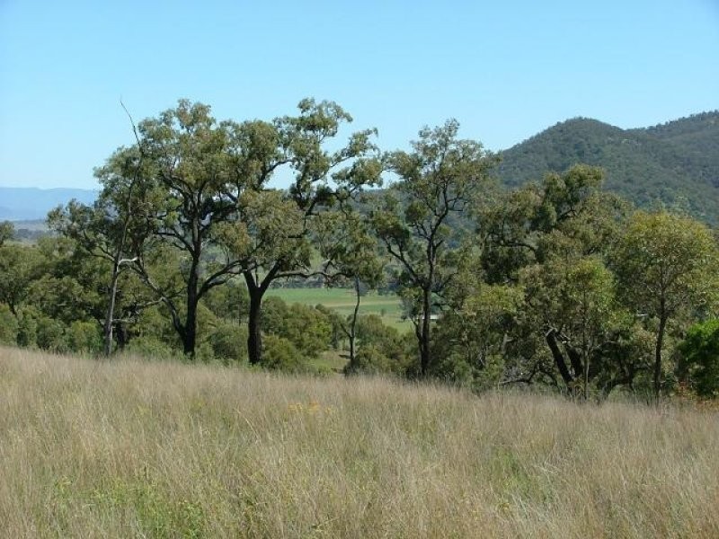 Sandy Creek Rd, Mccullys Gap NSW 2333