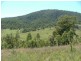 Sandy Creek Rd, Mccullys Gap NSW 2333