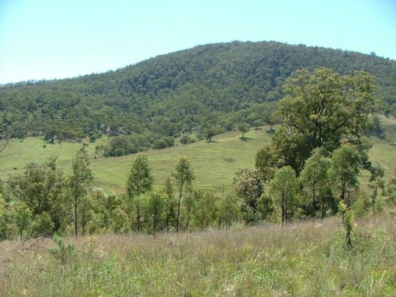 Sandy Creek Rd, Mccullys Gap NSW 2333