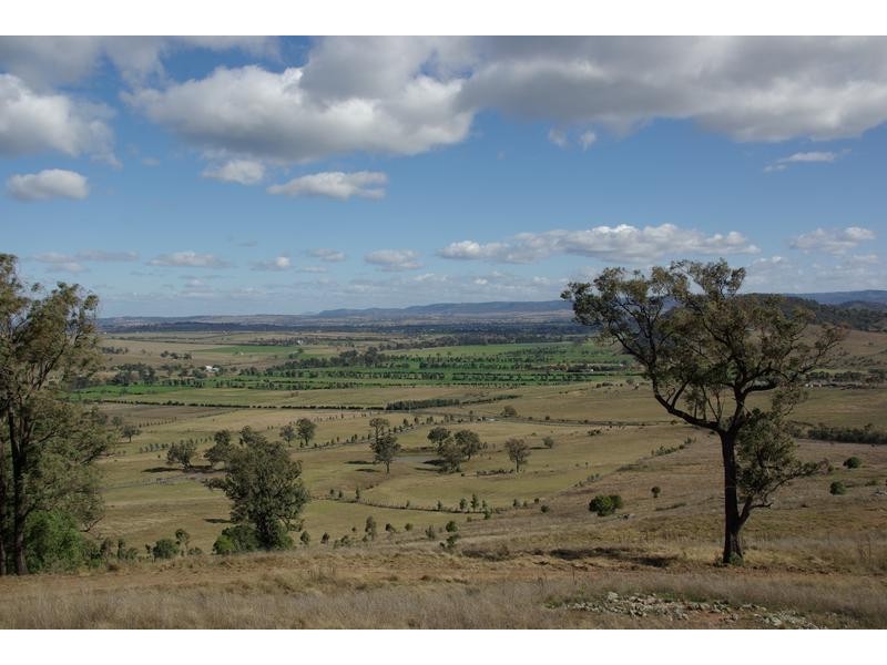 Glenbawn Road, Segenhoe NSW 2337