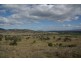 Glenbawn Road, Segenhoe NSW 2337