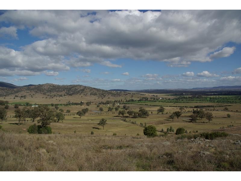 Glenbawn Road, Segenhoe NSW 2337