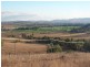 Glenbawn Road, Segenhoe NSW 2337