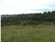 50 Antiene ROW, Muswellbrook NSW 2333