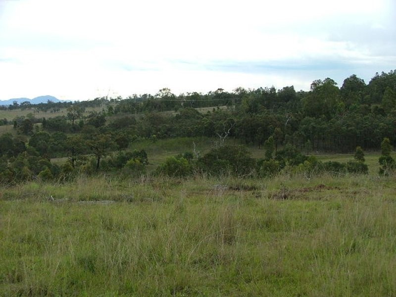 50 Antiene ROW, Muswellbrook NSW 2333