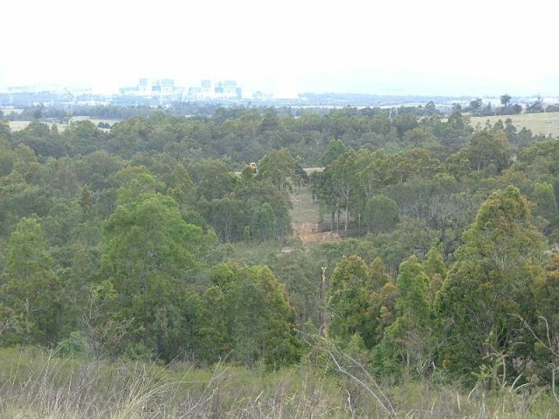 50 Antiene ROW, Muswellbrook NSW 2333