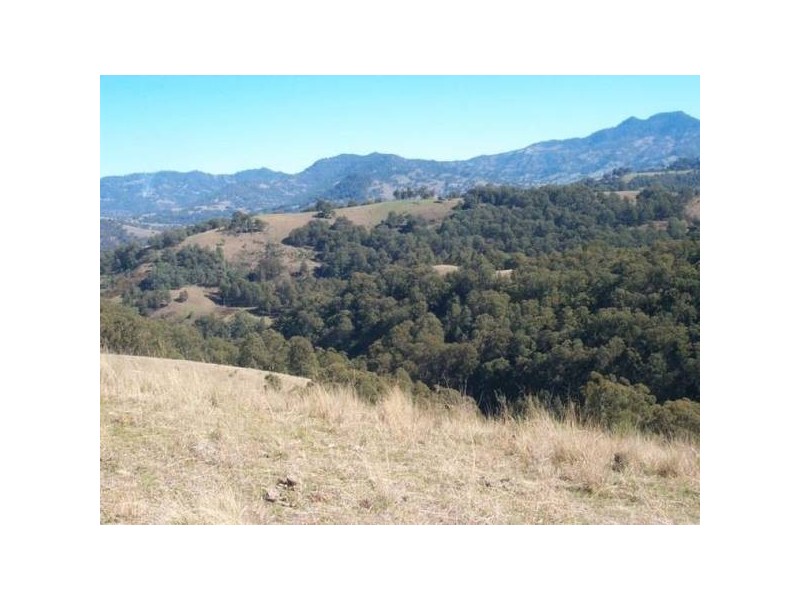 291 Lilbern Road, Timor NSW 2338