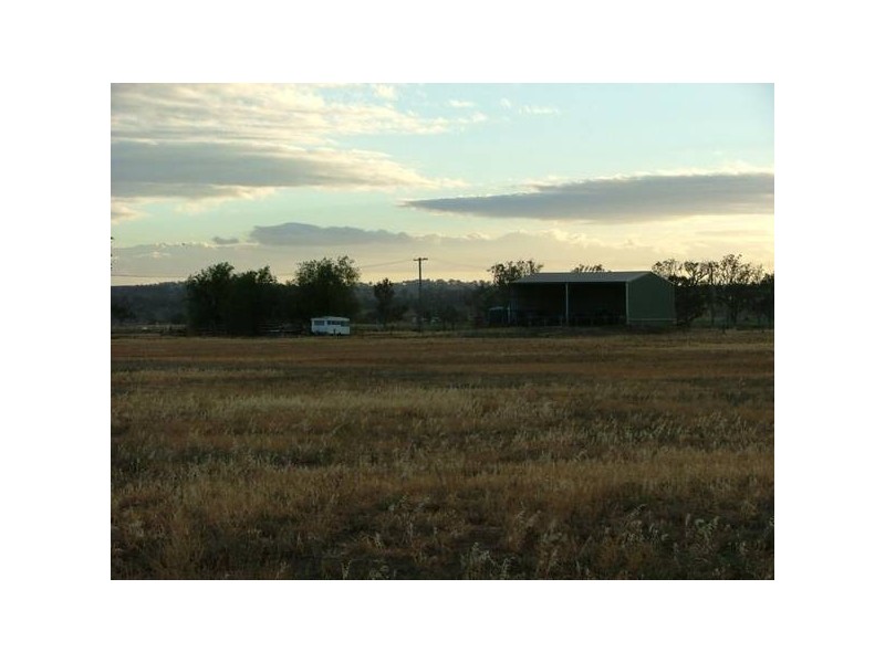 80 Dartbrook Road, Aberdeen NSW 2336