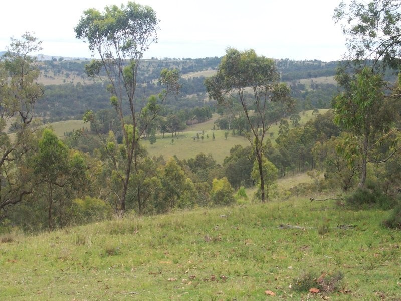 52 Hebden Road, Muswellbrook NSW 2333