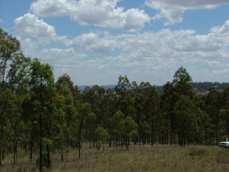 Woodland Ridge Rd, Muswellbrook NSW 2333