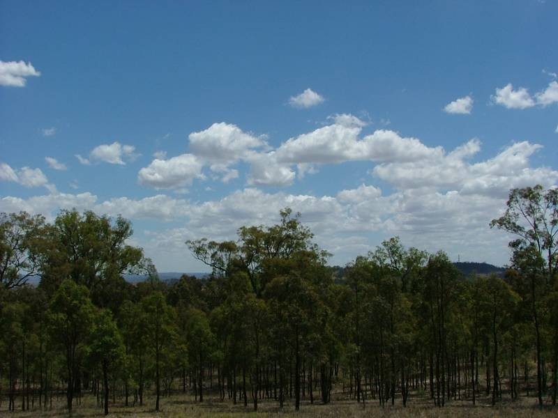 Woodland Ridge Rd, Muswellbrook NSW 2333