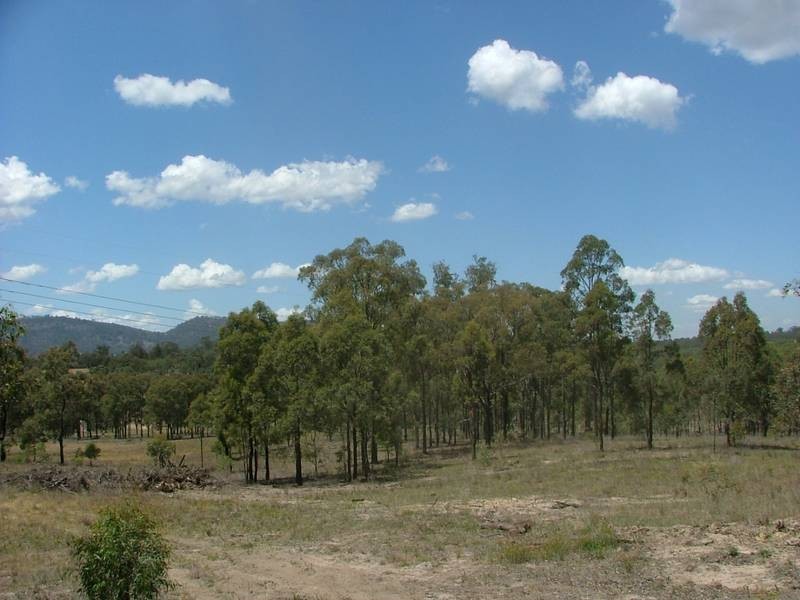 Woodland Ridge Rd, Muswellbrook NSW 2333