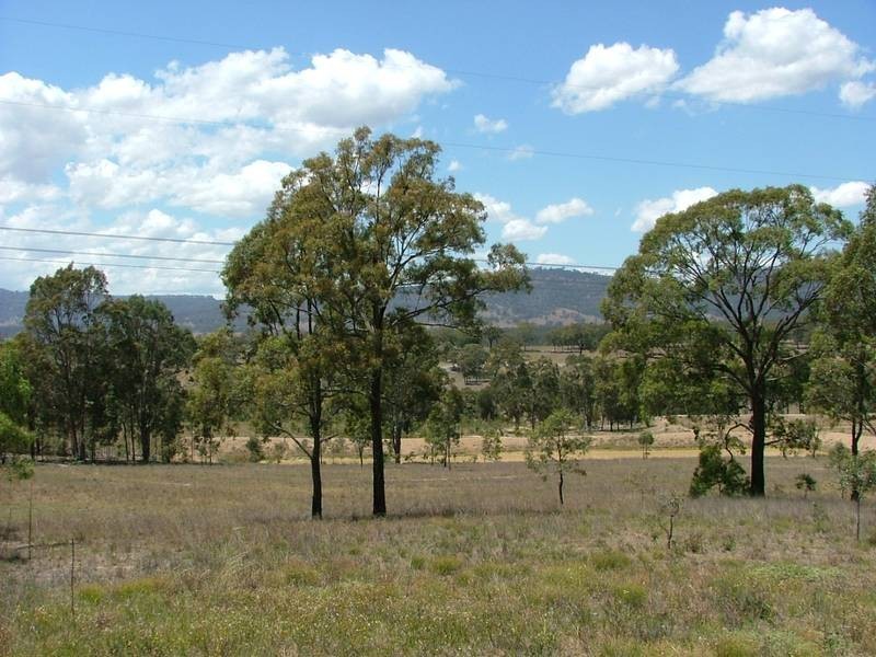 Woodland Ridge Rd, Muswellbrook NSW 2333