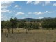 Woodland Ridge Rd, Muswellbrook NSW 2333