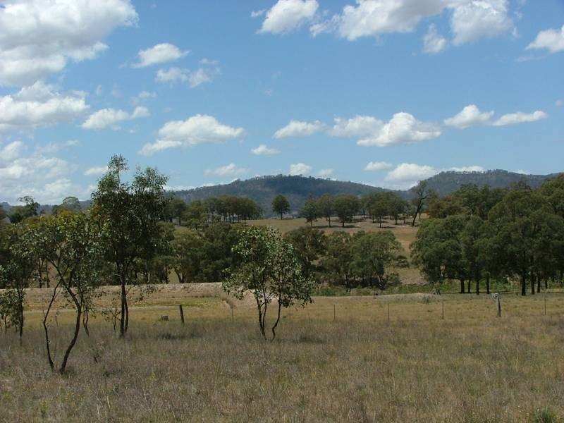 Woodland Ridge Rd, Muswellbrook NSW 2333