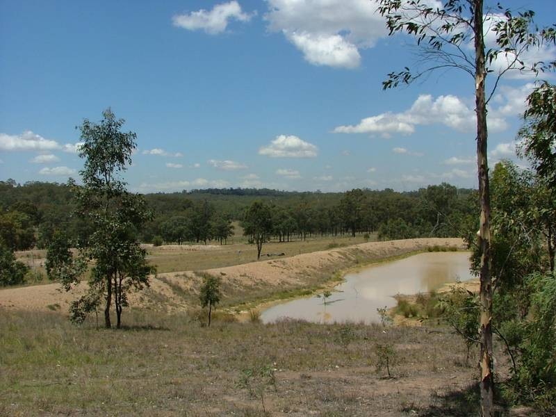 Woodland Ridge Rd, Muswellbrook NSW 2333