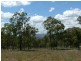 Woodland Ridge Rd, Muswellbrook NSW 2333