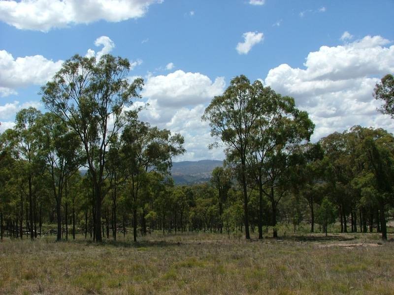 Woodland Ridge Rd, Muswellbrook NSW 2333