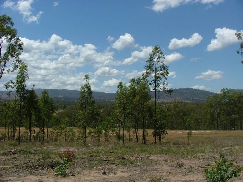 Woodland Ridge Rd, Muswellbrook NSW 2333