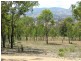 Woodland Ridge Rd, Muswellbrook NSW 2333
