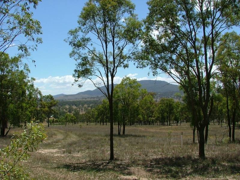 Woodland Ridge Rd, Muswellbrook NSW 2333