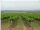 Denman Road, Denman NSW 2328