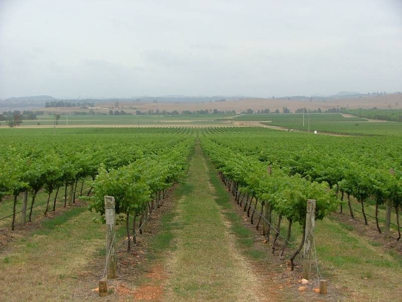 Denman Road, Denman NSW 2328