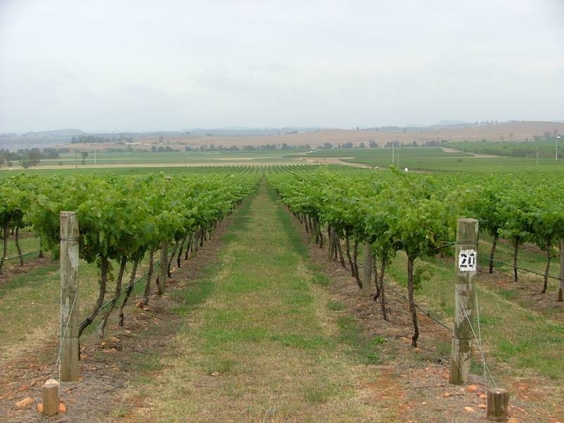 Denman Road, Denman NSW 2328