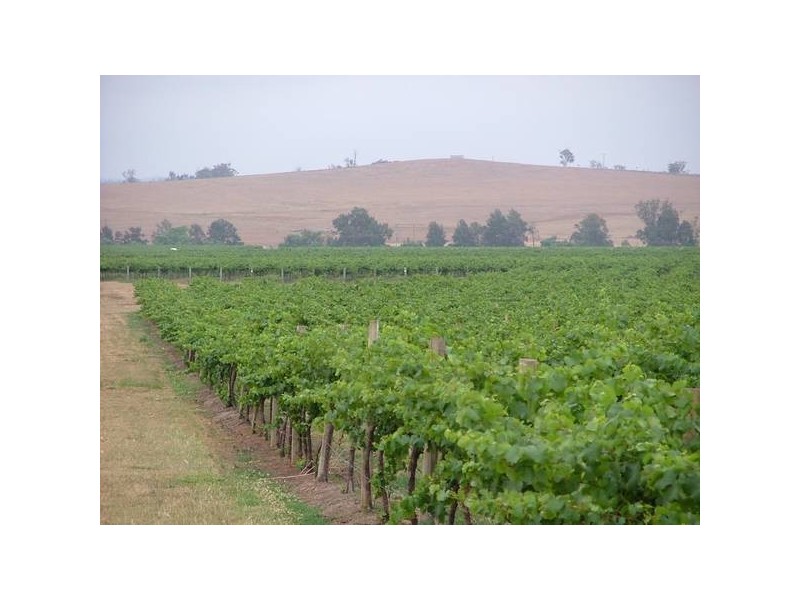 Denman Road, Denman NSW 2328