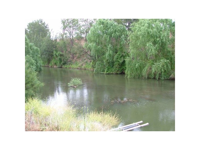 Denman Road, Denman NSW 2328