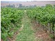 Denman Road, Denman NSW 2328