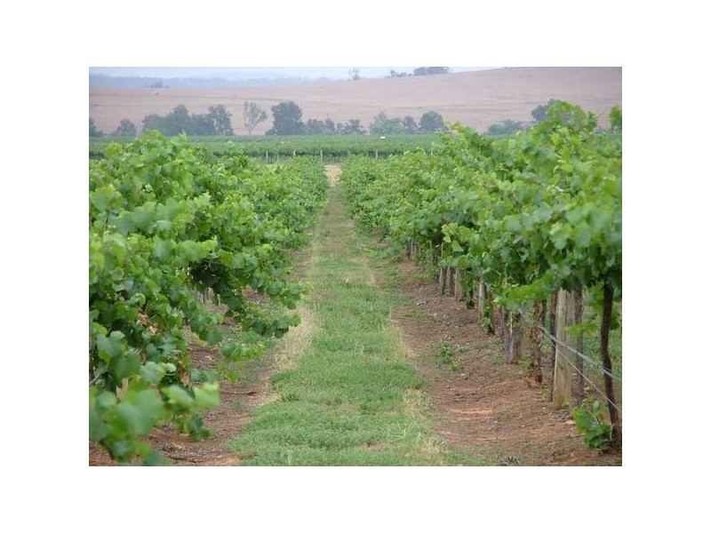 Denman Road, Denman NSW 2328