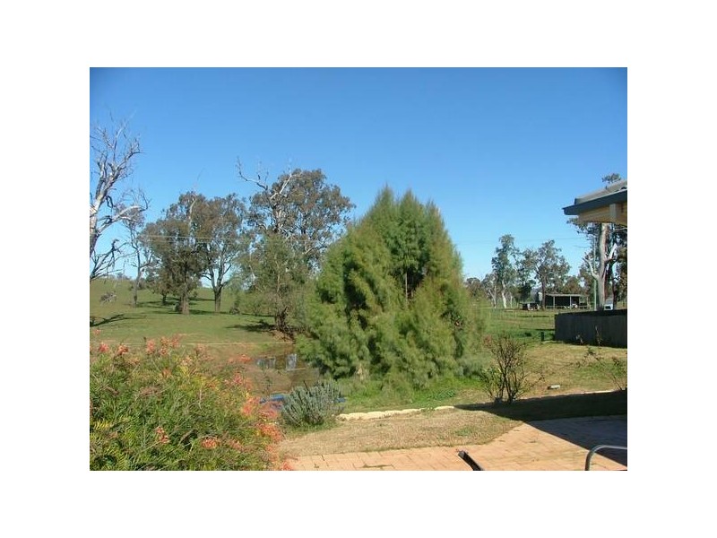 20 Shannon Close, Aberdeen NSW 2336