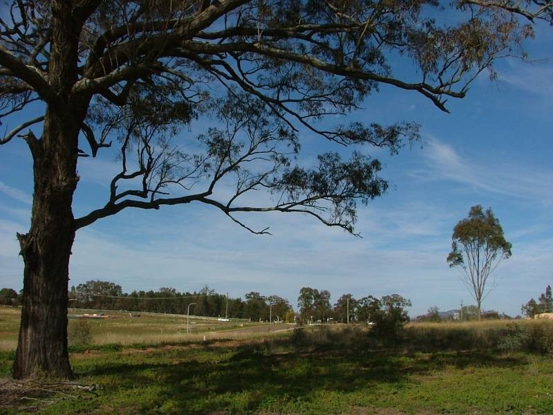 Skellatar Stock Route, Muswellbrook NSW 2333