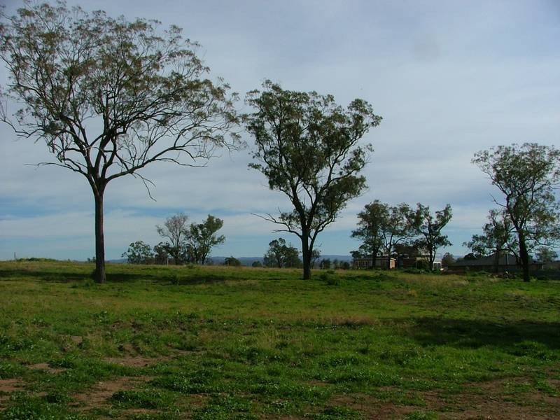 Skellatar Stock Route, Muswellbrook NSW 2333