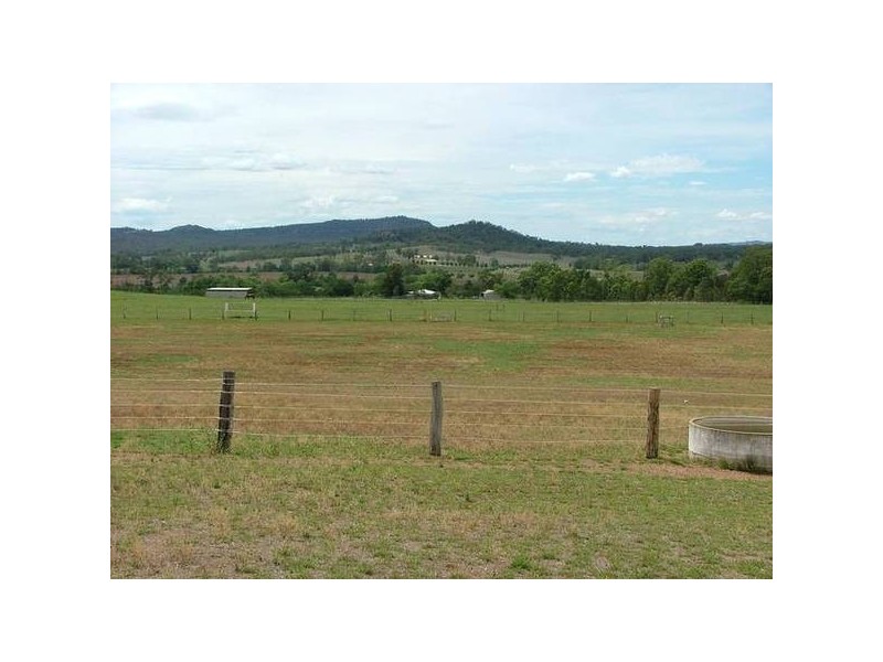 Reedy Creek Rd, Denman NSW 2328