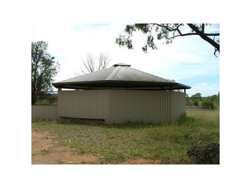Reedy Creek Rd, Denman NSW 2328