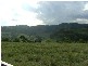 750 Muscle Creek Road, Muswellbrook NSW 2333