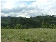 750 Muscle Creek Road, Muswellbrook NSW 2333