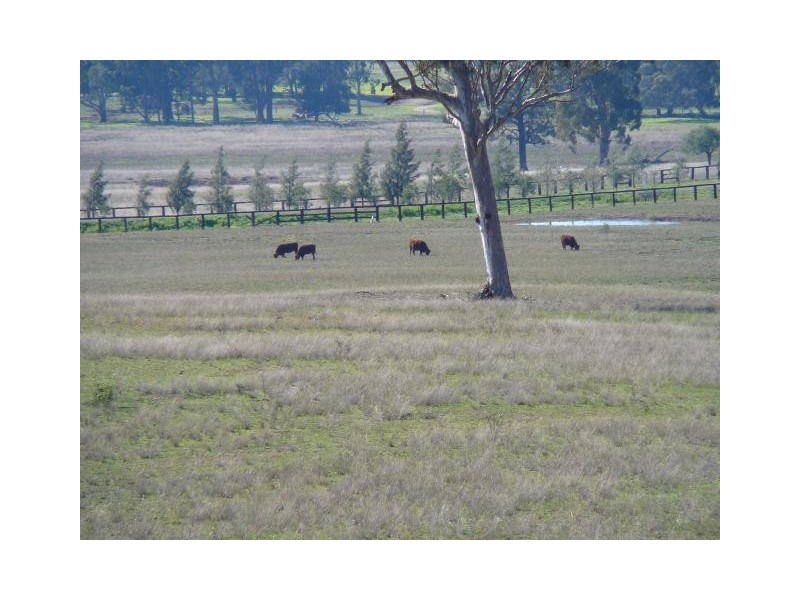 1 Bureen Road, Jerrys Plains NSW 2330