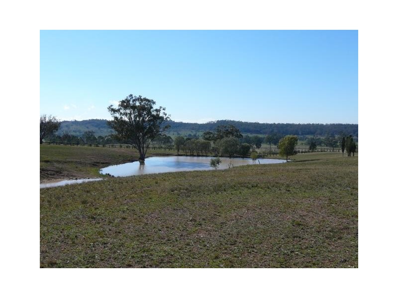 1 Bureen Road, Jerrys Plains NSW 2330