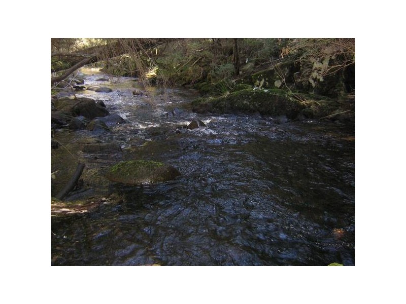 5 Kunama Creek Road, Barrington Tops NSW 2422