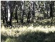5 Kunama Creek Road, Barrington Tops NSW 2422