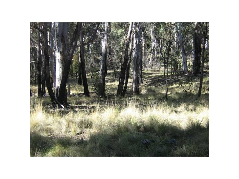 5 Kunama Creek Road, Barrington Tops NSW 2422