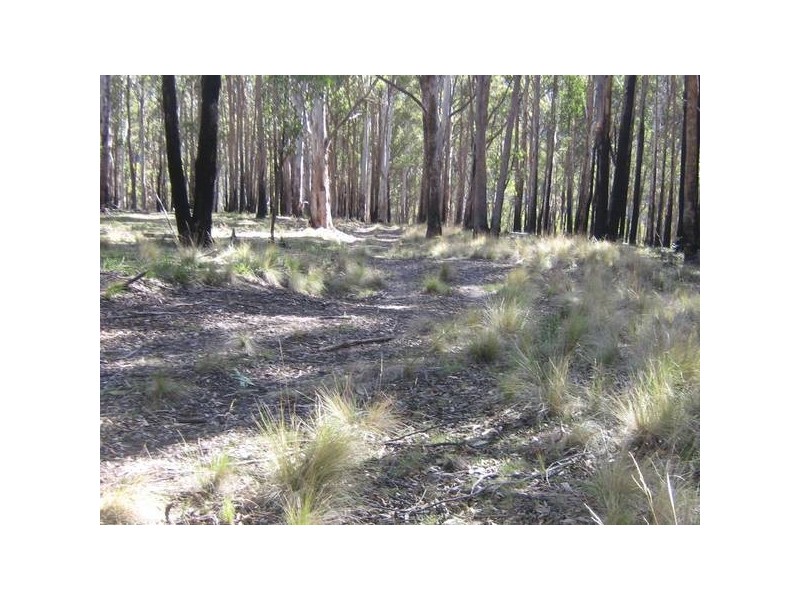 5 Kunama Creek Road, Barrington Tops NSW 2422