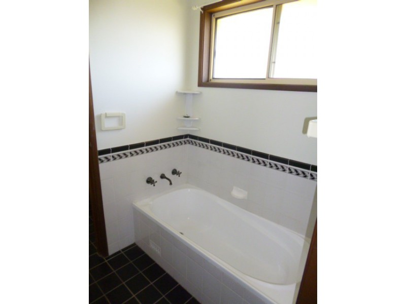 15 Beech Street, Muswellbrook NSW 2333